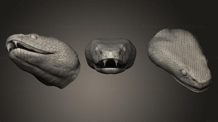 Змеиные головы